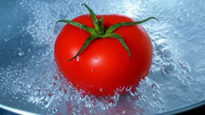 Illustration blanch - Image 1