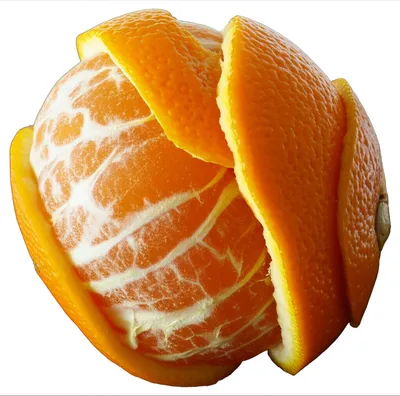 Illustration peels - Image 1