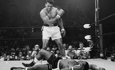 Illustration trounce - Image 2