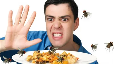 Illustration disgusts