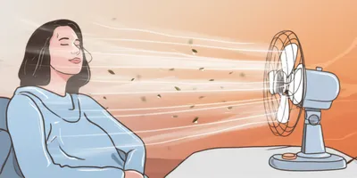 Illustration fans - Image 1