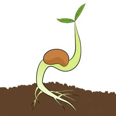 Illustration set - Image 1