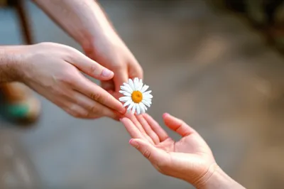 Illustration debts - Image 1