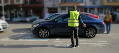 Illustration backing - Image 1