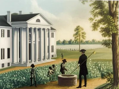 Illustration planter - Image 1