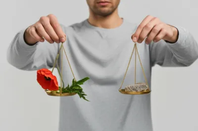 Illustration measure - Image 1