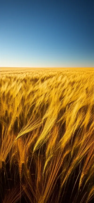 Illustration ac - Image 1