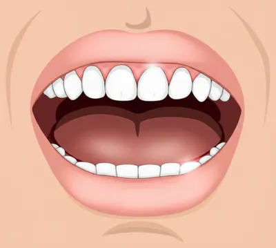 Illustration laminal - Image 1