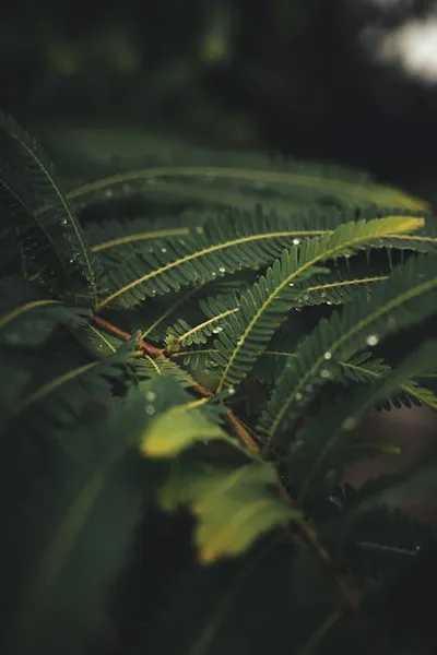 Illustration drips - Image 2