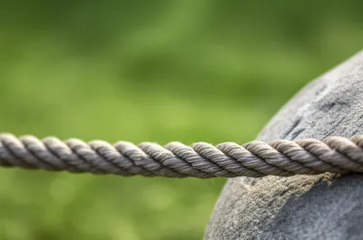 Illustration turn - Image 1