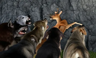 Illustration baying - Image 1