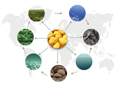 Illustration commodity - Image 1