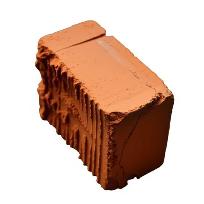 Illustration bat - Image 1