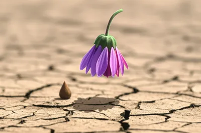 Illustration regressed - Image 1