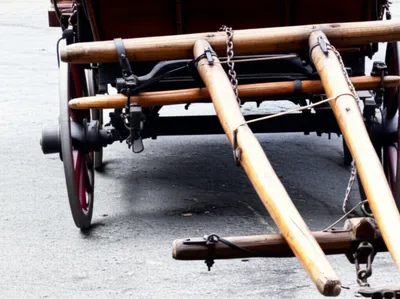 Illustration limber - Image 1