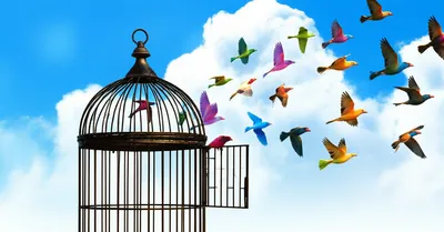 Illustration looses - Image 1