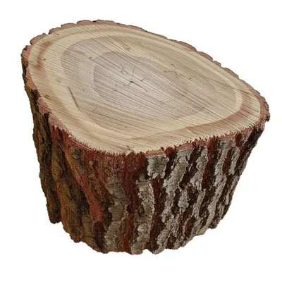 Illustration log - Image 1