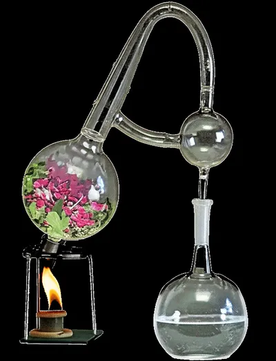 Illustration distills - Image 1