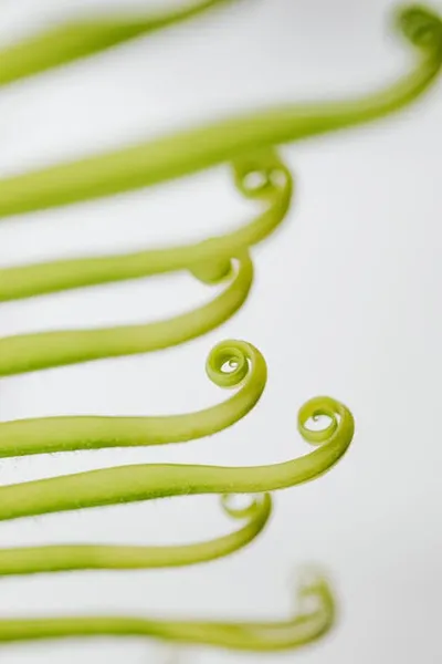 Illustration shoots - Image 2