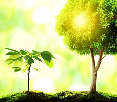 Illustration enhanced - Image 1