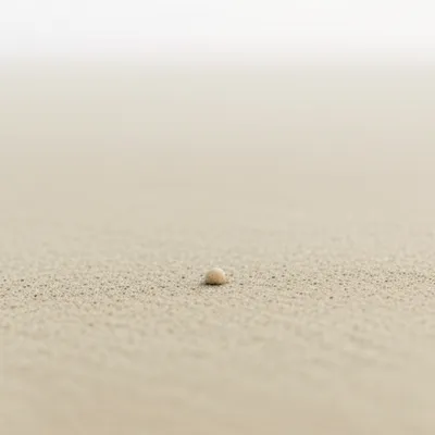 Illustration rap - Image 1