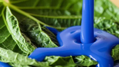 Illustration woad - Image 1