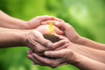 Illustration holders - Image 1