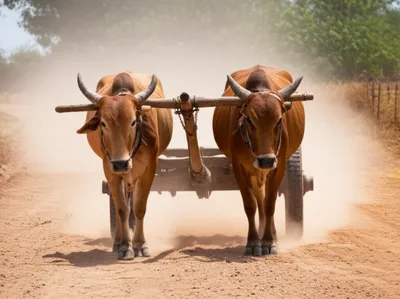 Illustration tongs - Image 1