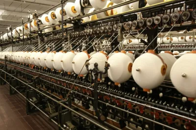 Illustration mules - Image 1