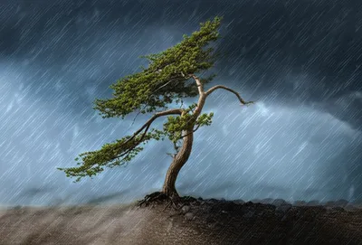 Illustration continuant - Image 1