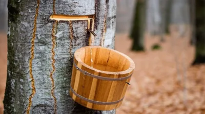 Illustration bleed - Image 1