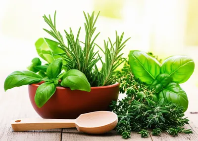 Illustration savory - Image 1