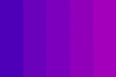 Illustration violet - Image 3