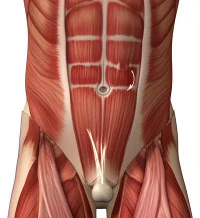 Illustration shit - Image 1