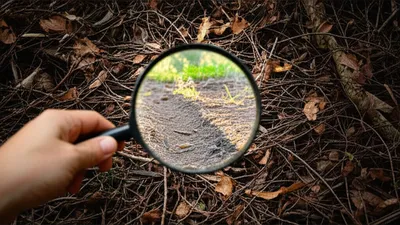 Illustration illuminates - Image 1