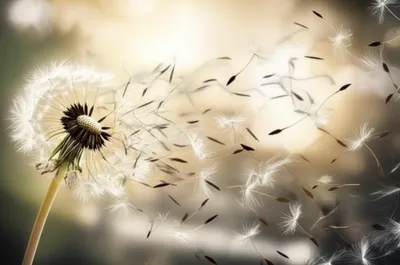 Illustration dispersed - Image 1