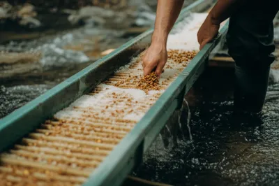 Illustration racking - Image 1