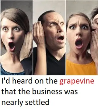 Illustration grapevine - Image 2