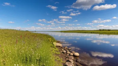 Illustration rive - Image 1