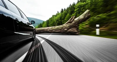 Illustration sheer - Image 1