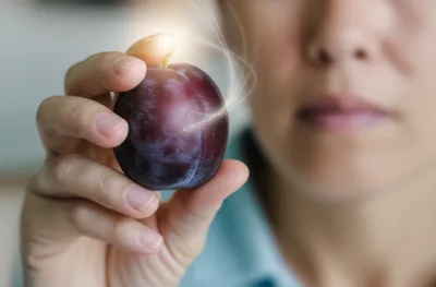 Illustration plums - Image 1