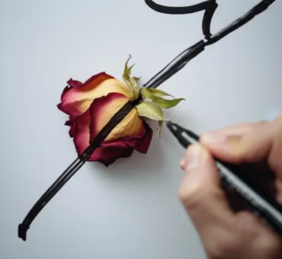 Illustration stricken - Image 1