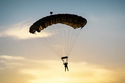 Illustration para - Image 1