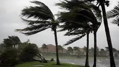 Illustration flaw - Image 2