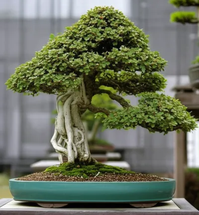 Illustration stopped - Image 1