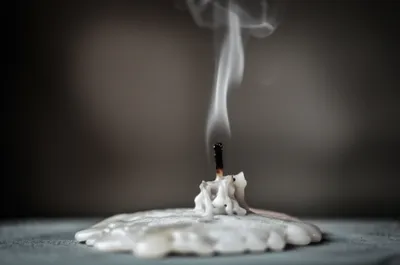 Hình ảnh minh họa extinct - Ảnh 1