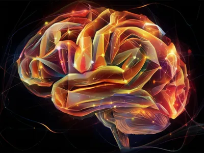 Illustration cognitions - Image 1