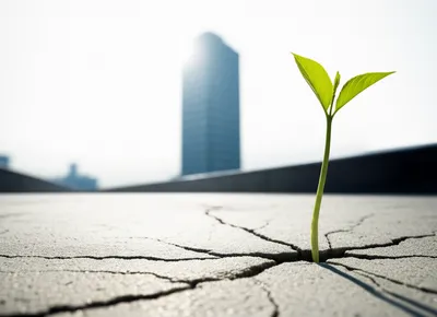 Illustration perseverance