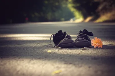 Illustration fatalities - Image 1