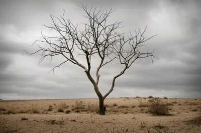 Illustration gaunt - Image 1